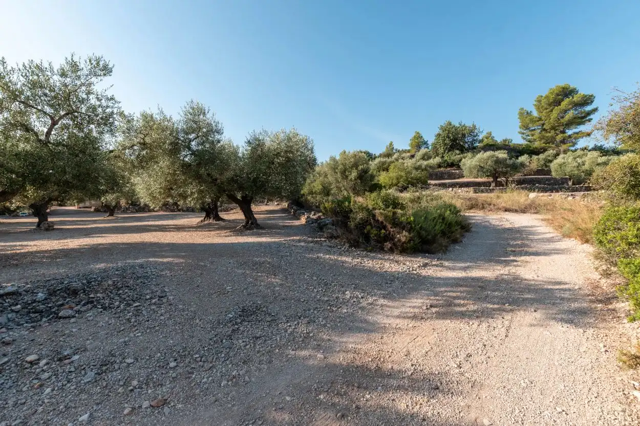 Finca rústica en venta en Mas de Barberans con Trastero