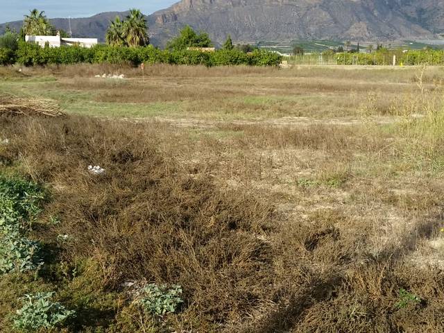 Terreno en Venta en Vereda del Tío Cabo, 50 en Santomera