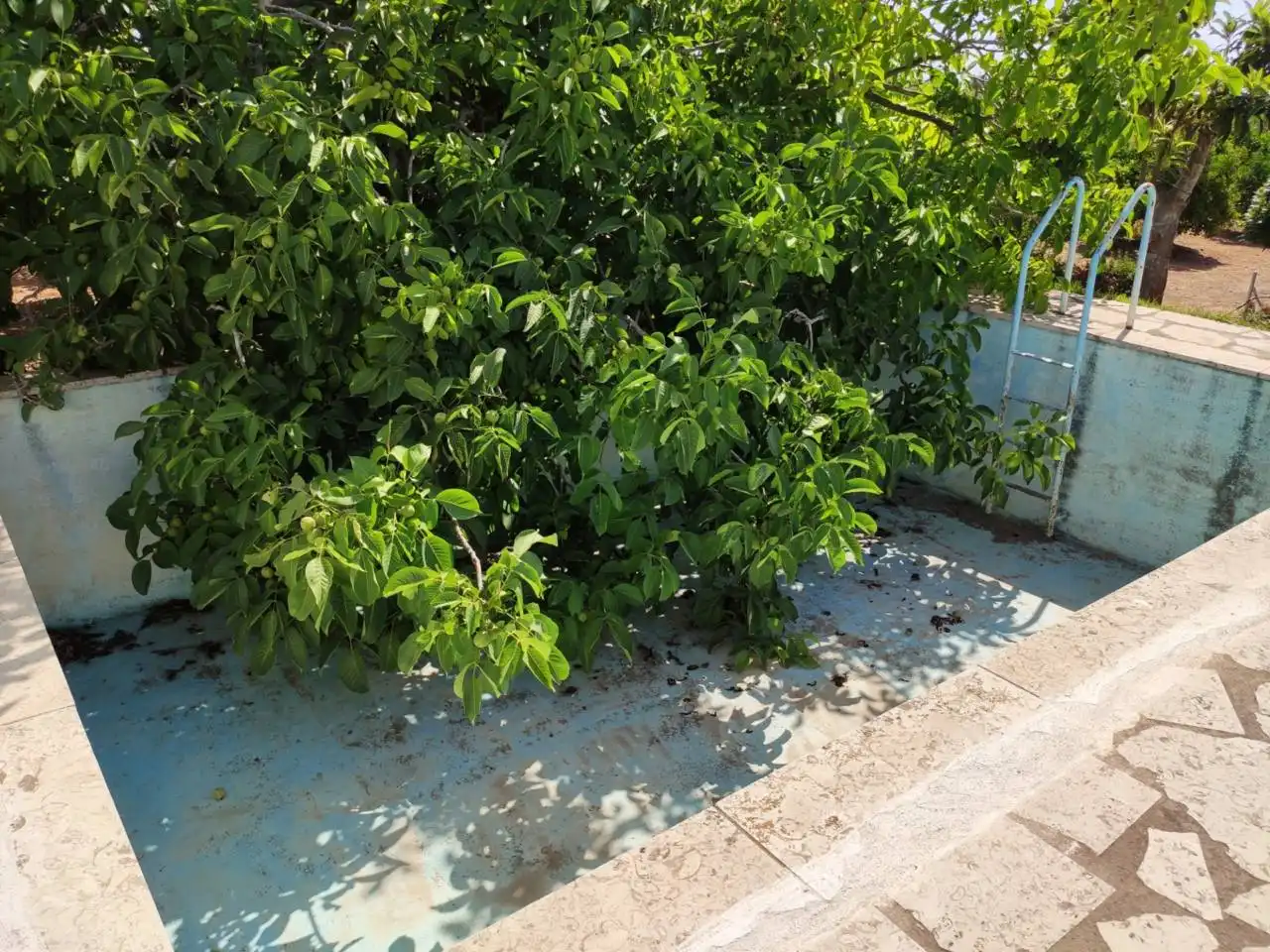 Casa rústica con piscina en venta en Poligono 3, Parcela 398, 301, imagen 11