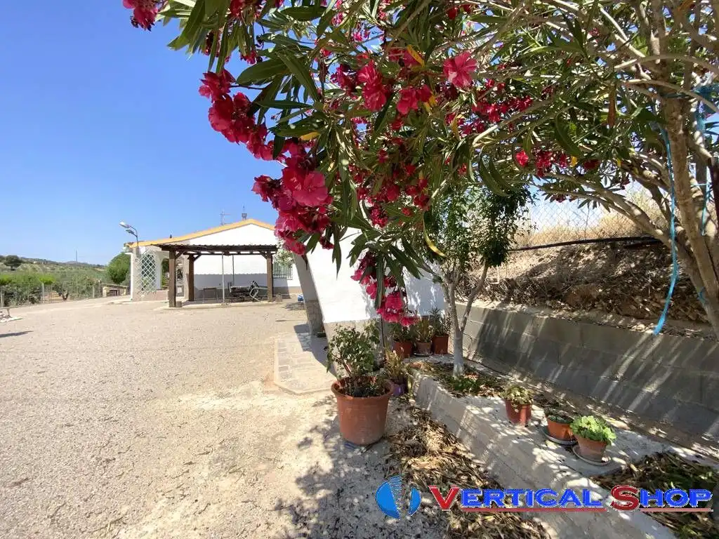 Chalet en venta en Carretera Yecla, imagen 27