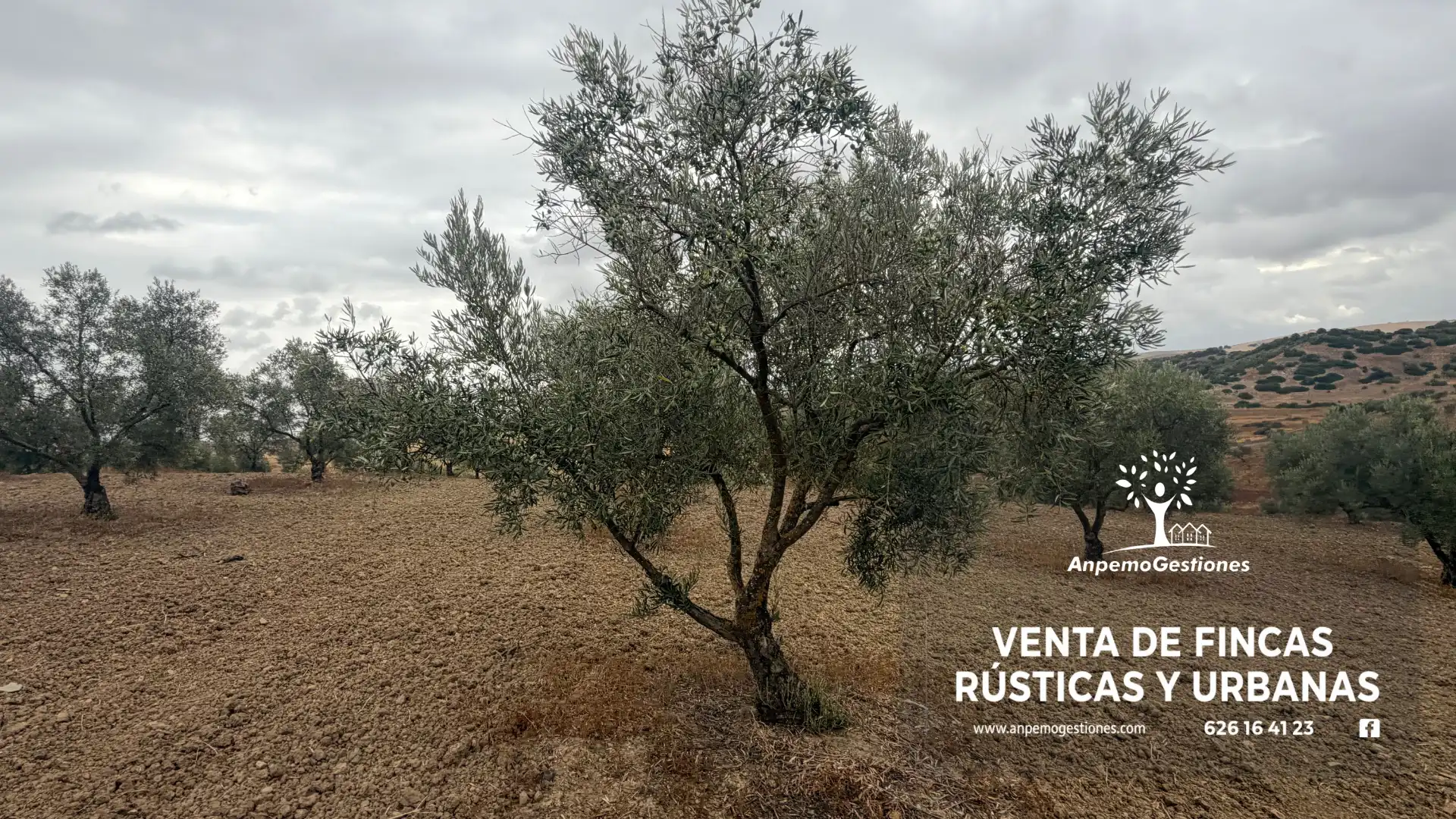 Terreno rustico in vendita a Calle San Sebastián 11, imagen 2