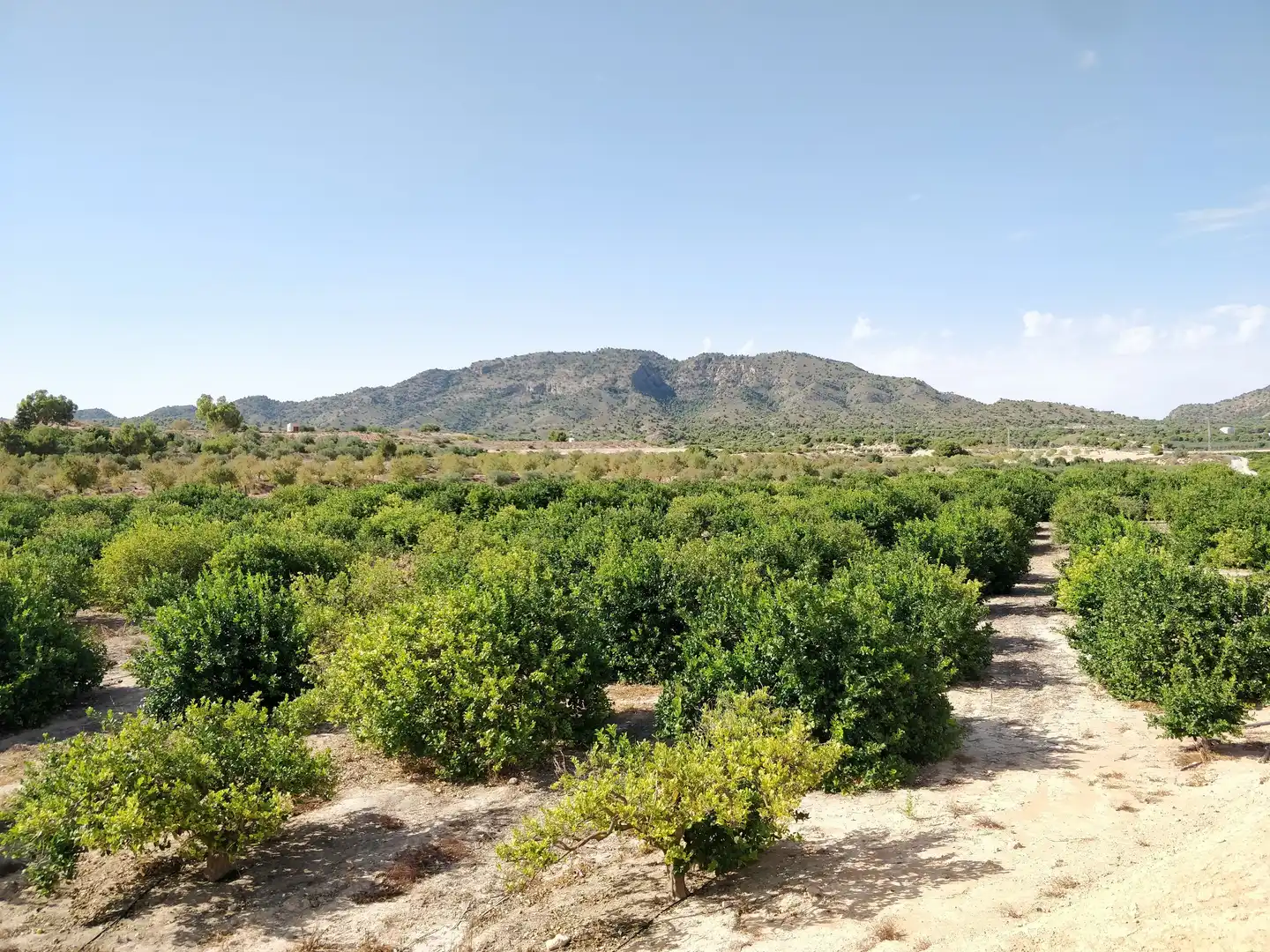 Residential zum Verkauf in Murcia