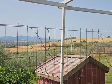 Terreno rustico in vendita a Polígono 33 Parcela 57 MORAILA. CARTAMA (MÁLAGA)