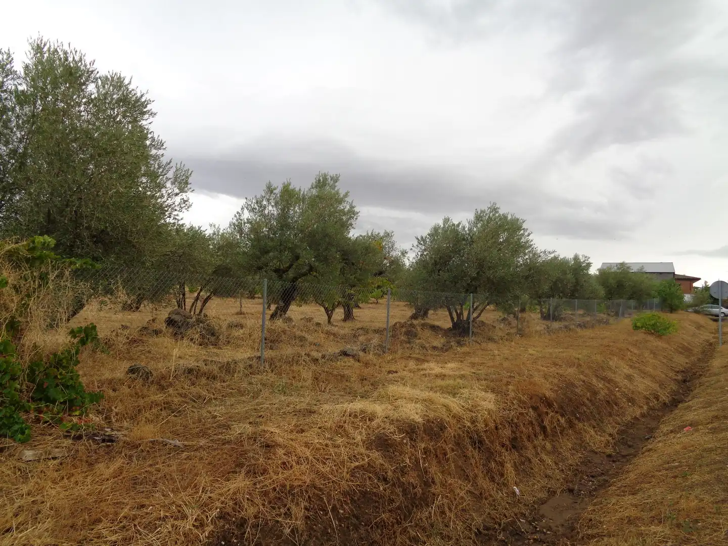 Residential for sale in Carretera de Pasaron, Tejeda de Tiétar