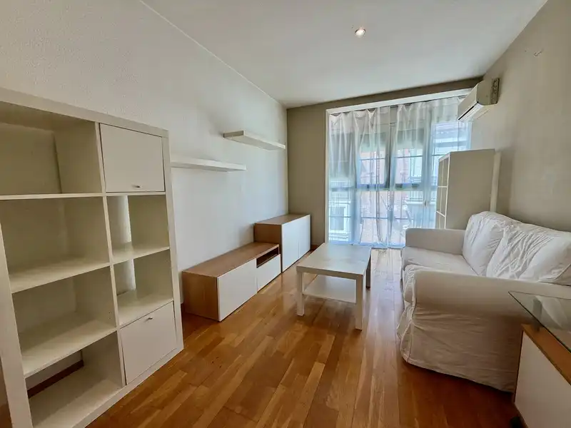 Sala de estar de Piso en venta en Madrid con Aire acondicionado, Calefacción y Jardín privado