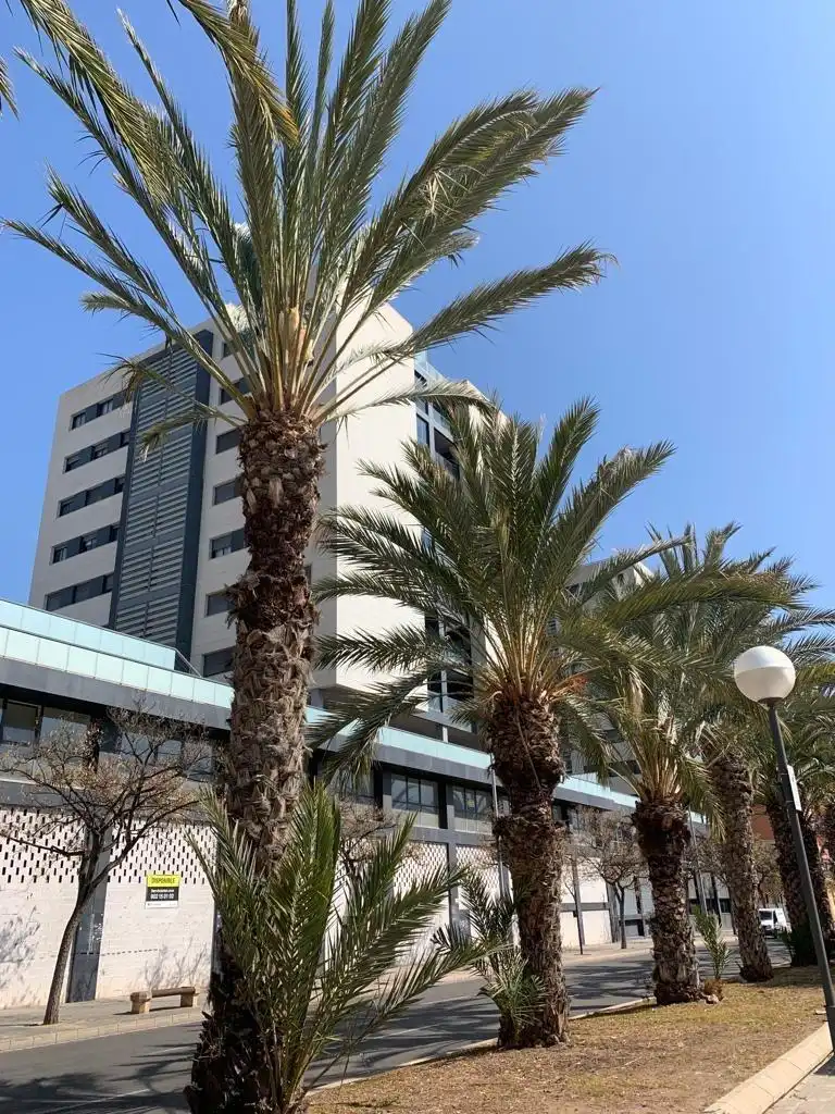 Exterior view of Office for sale in Alicante / Alacant  with Air Conditioner