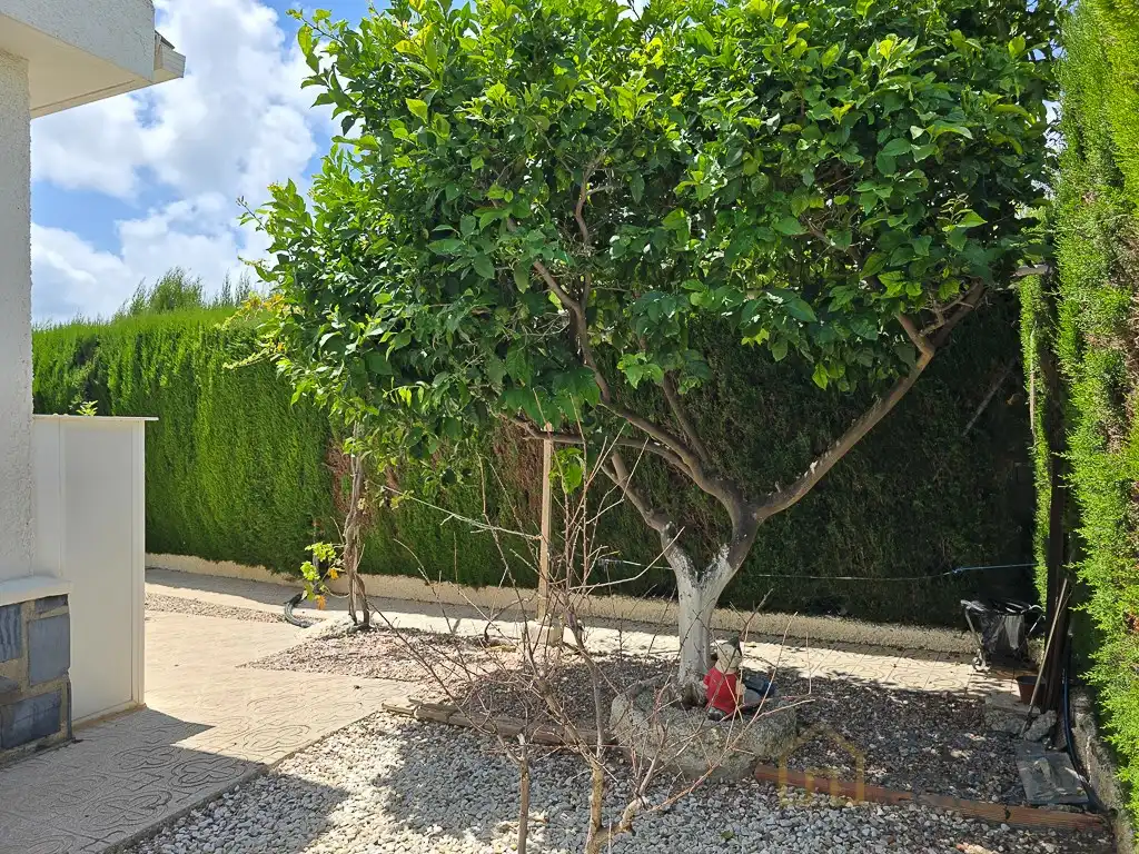 Jardín de Casa o chalet en venta en Los Alcázares
