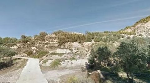 DOS PARCELAS DE REGADÍO CERCA DEL PUEBLO, immagine 5