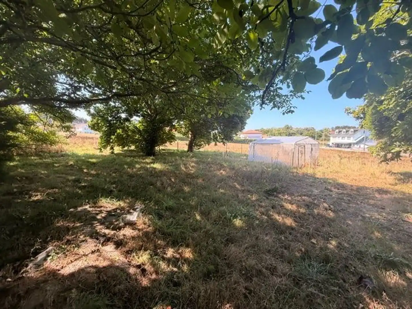 Rural land for sale in Lugar Torre, imagen 11