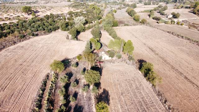 Terreno en Venta en Arbeca