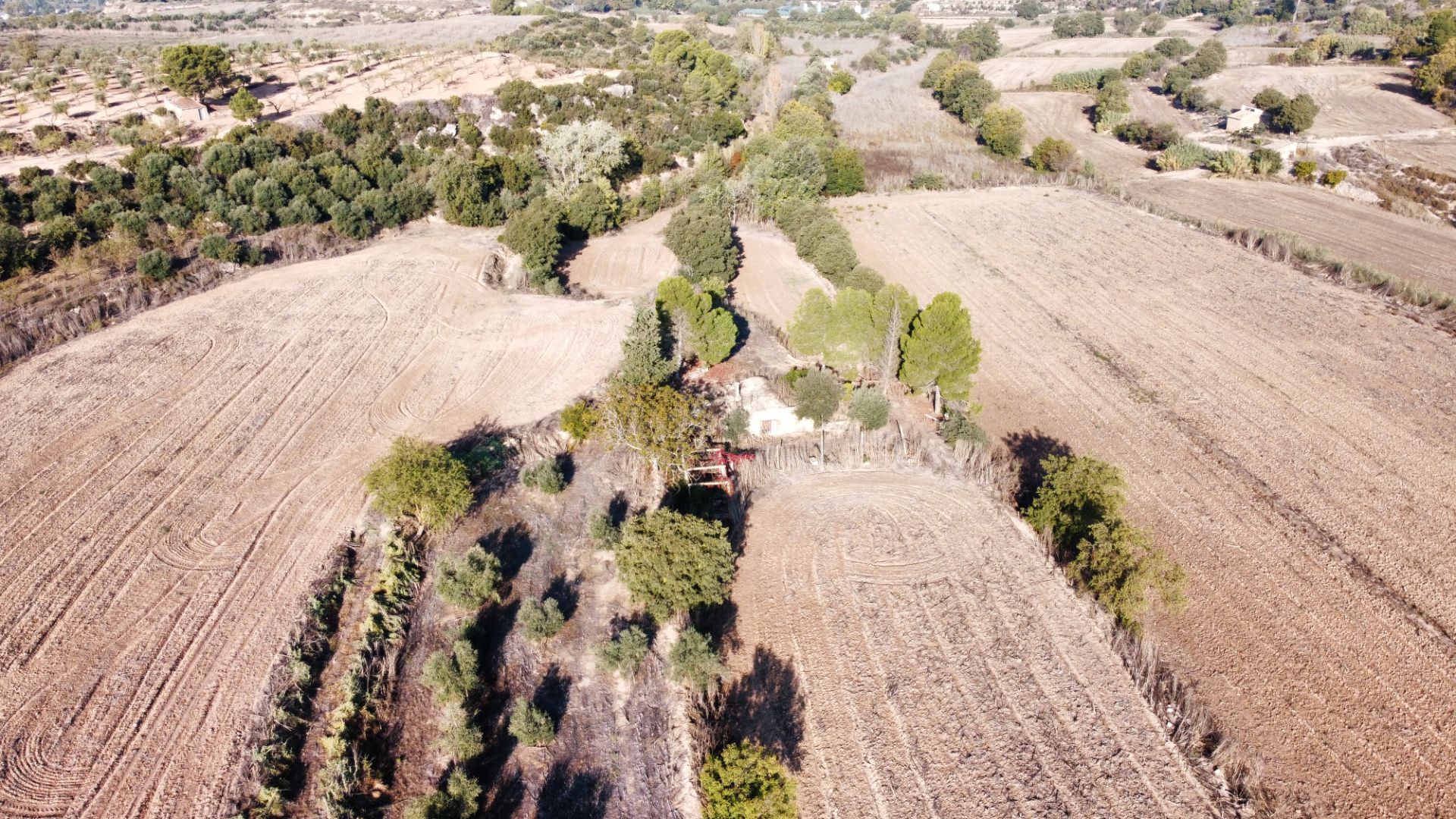 Land for sale in Arbeca