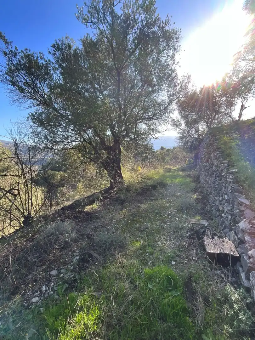 Terreni e lotti in vendita a Solera, imagen 15