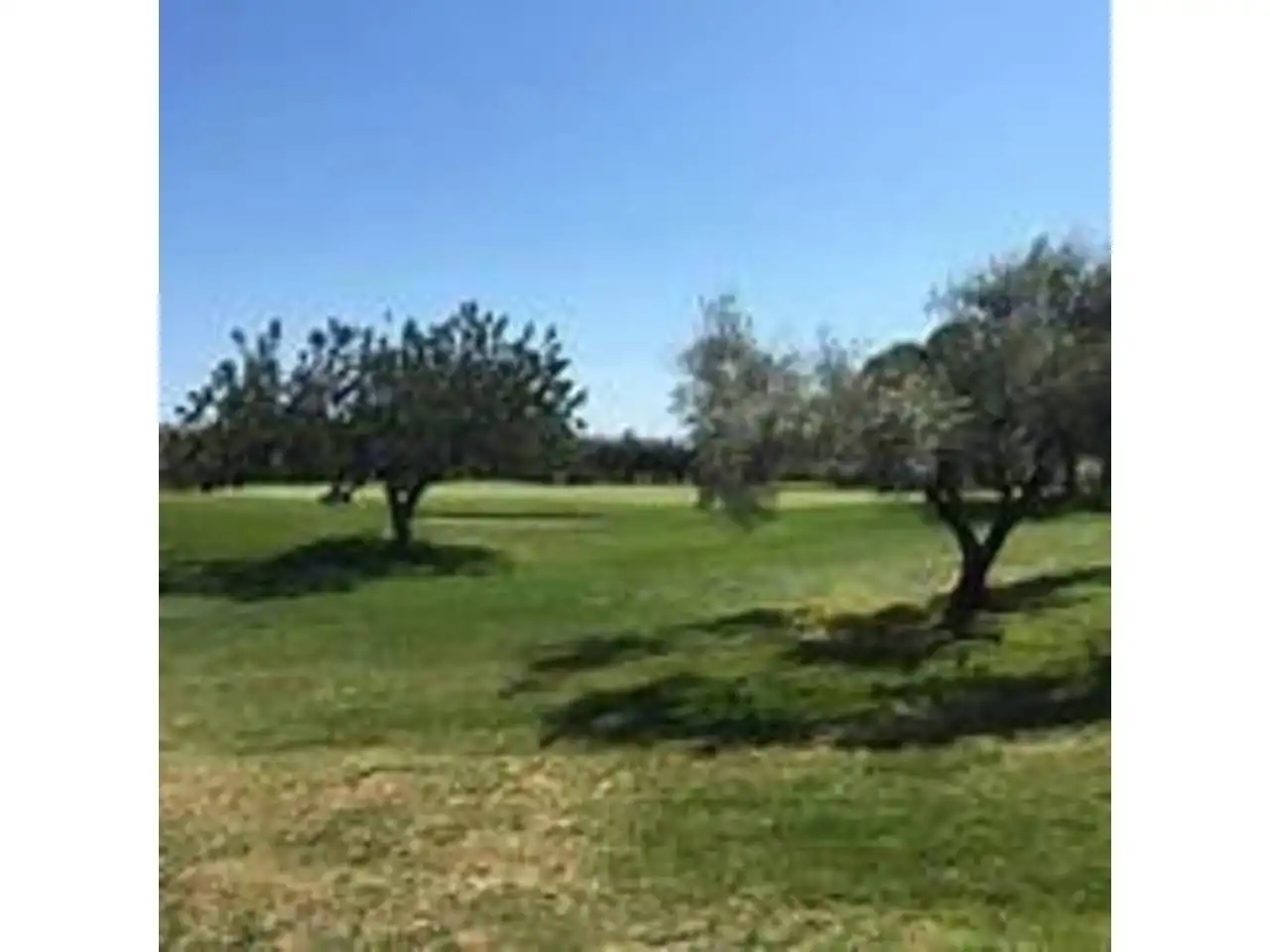 Terreny residencial en venda a San Jorge / Sant Jordi, imagen 4