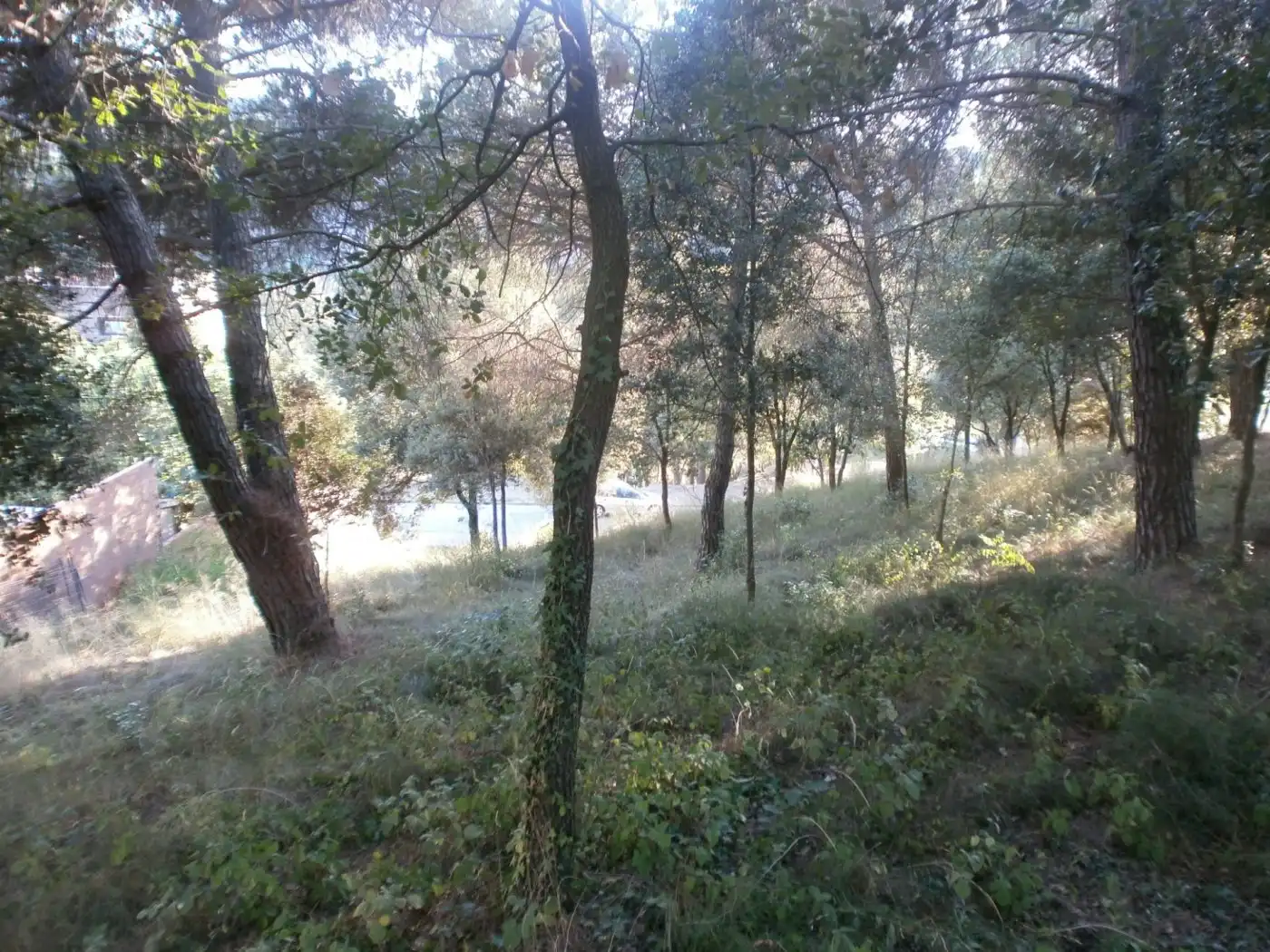 Wohnbaugrundstück zum Verkauf in Santa Maria de Palautordera, imagen 4