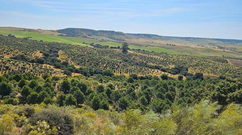 Photo 3 of Land for sale in N/a, -1, Las Herencias, Toledo