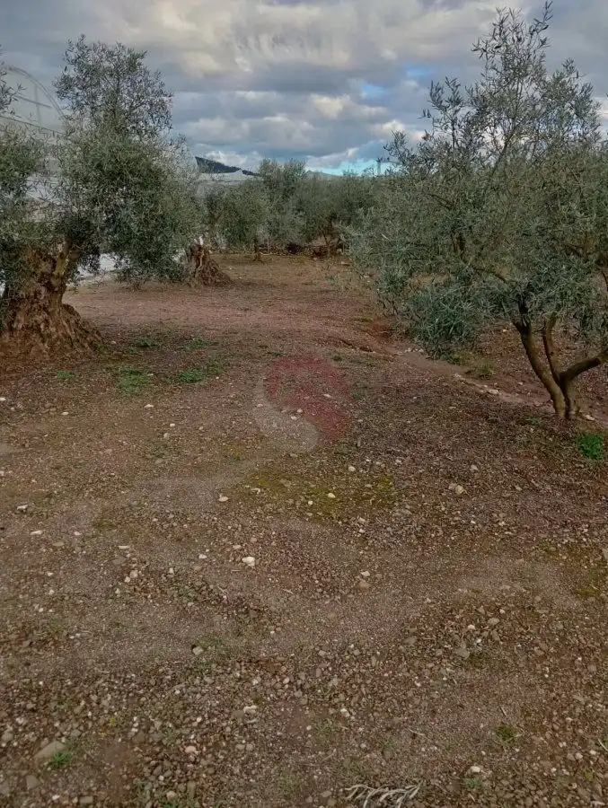 Terrenys i solars en venda a Coín, imagen 7