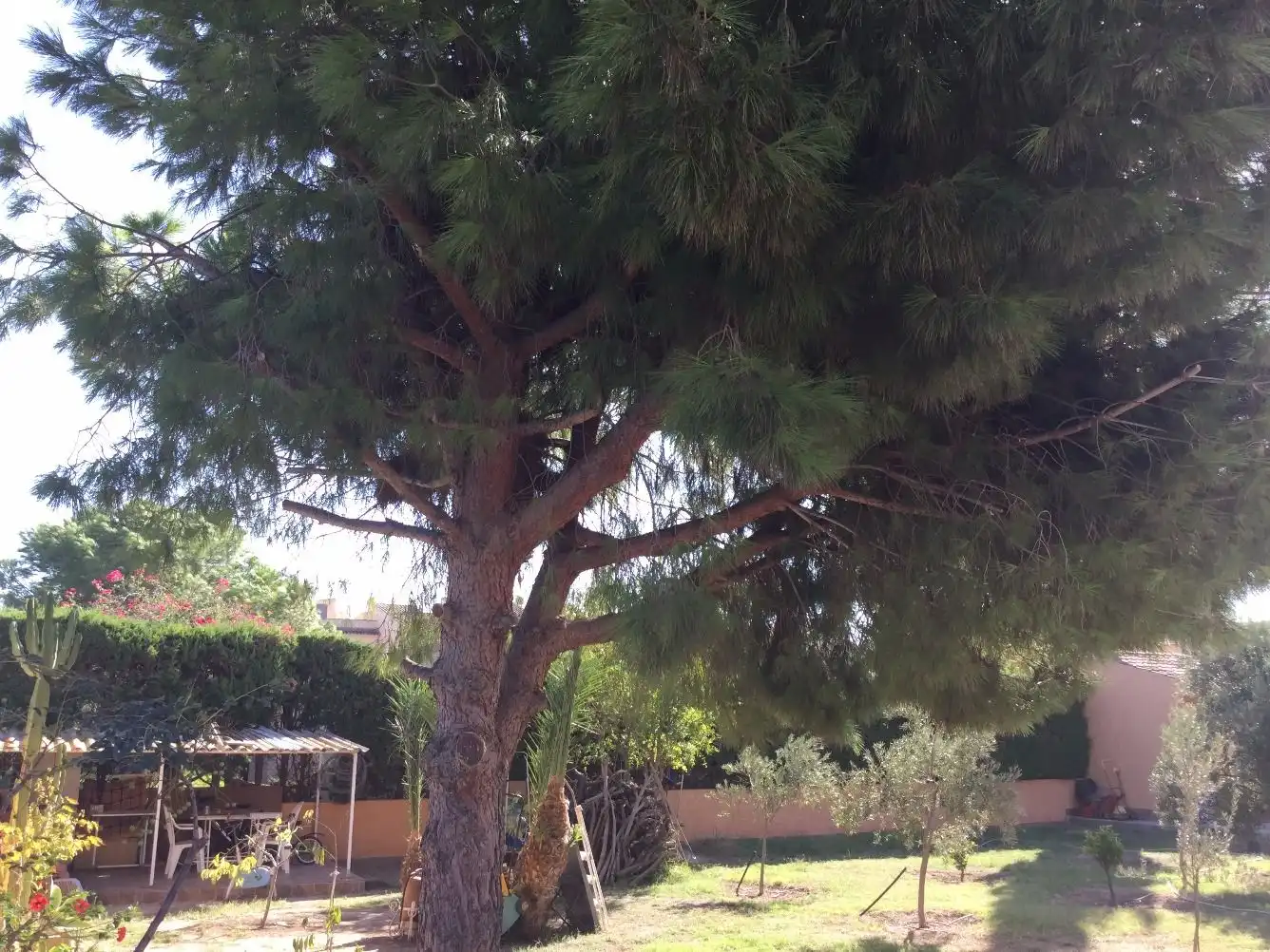 Villa avec jardin à vendre à Mar Menor de Cartagena – Cabo de Palos, imagen 18