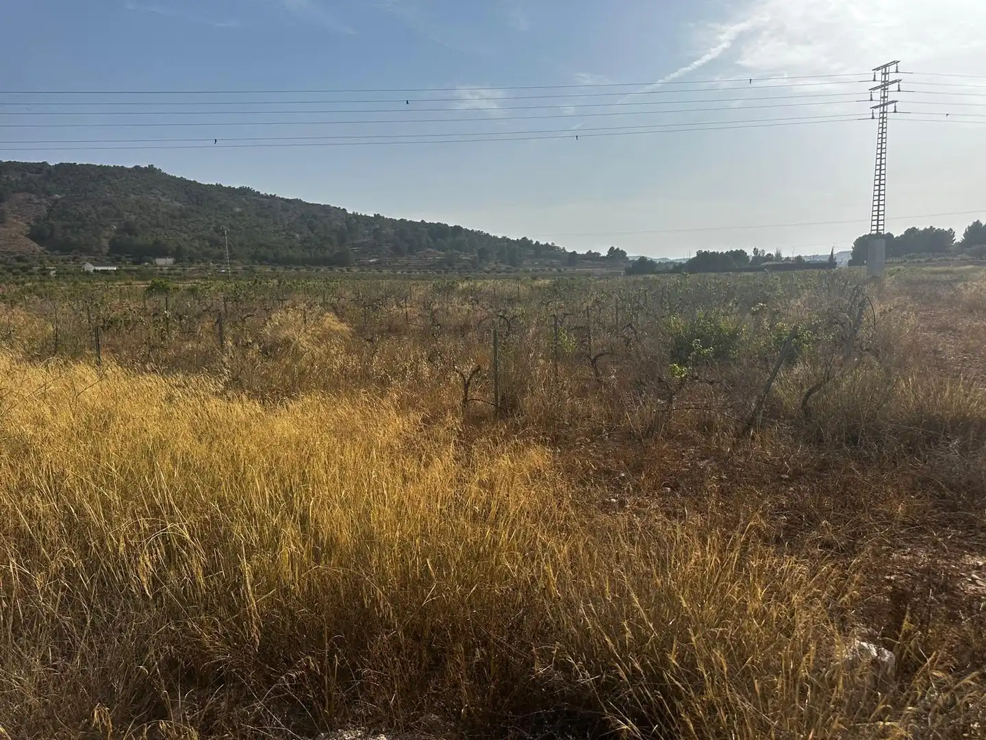 Terreno residencial en venta en El Pinós / Pinoso, imagen 12
