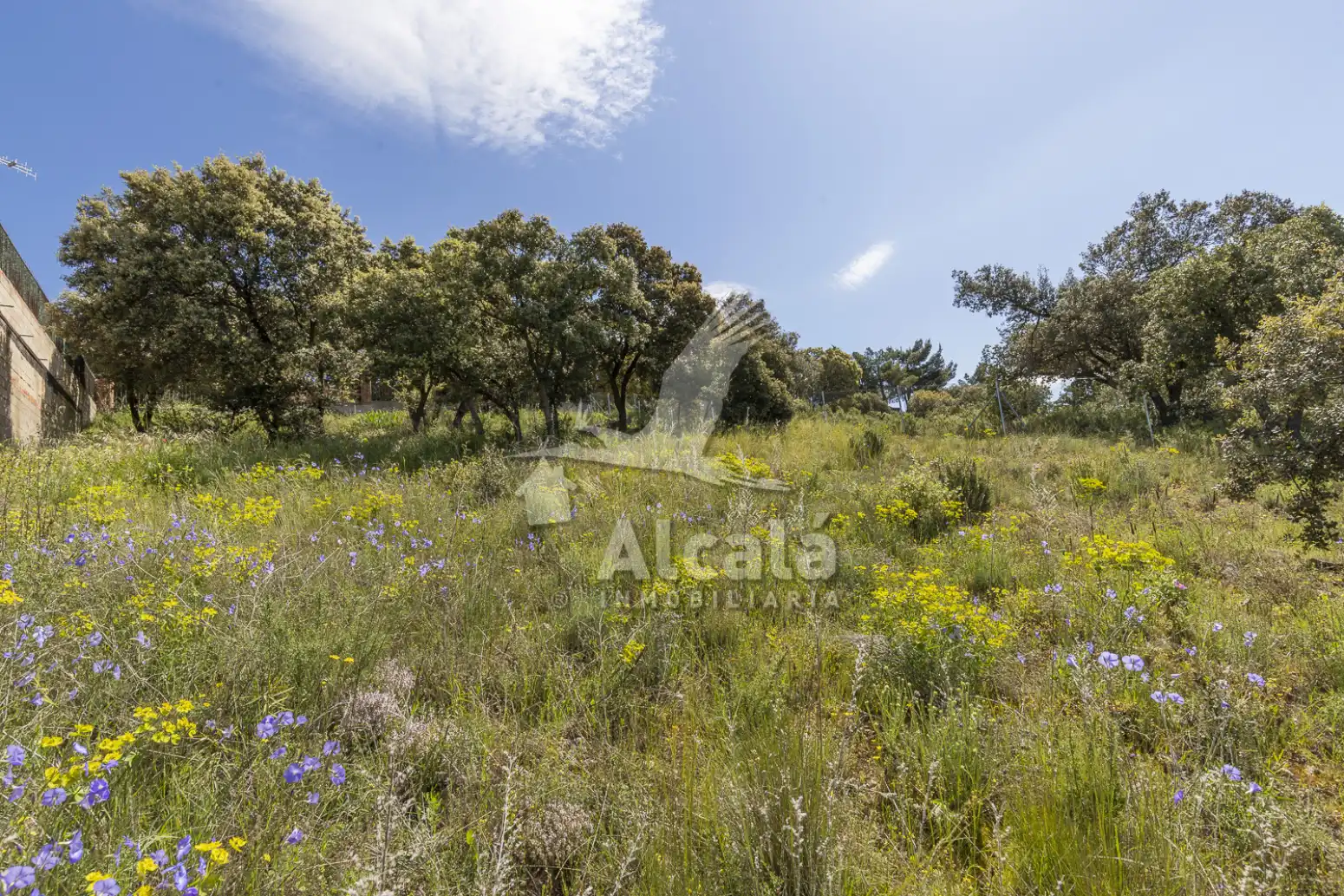 Residential land for sale in Fuentenovilla, imagen 19