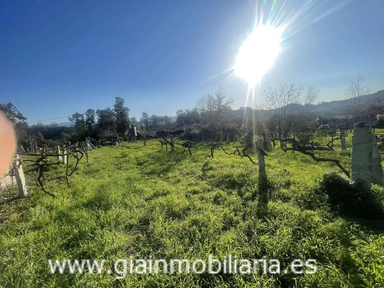 Casa con jardín en venta en Calle Xestal, imagen 41