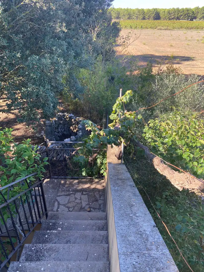 Jardín de Casa o chalet de alquiler en Santa María del Camí con Terraza y Balcón
