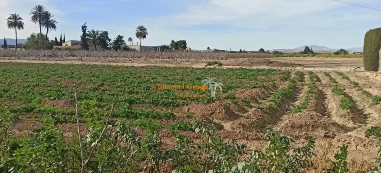 Finca rústica en venda a La Foia - Daimés - Asprella