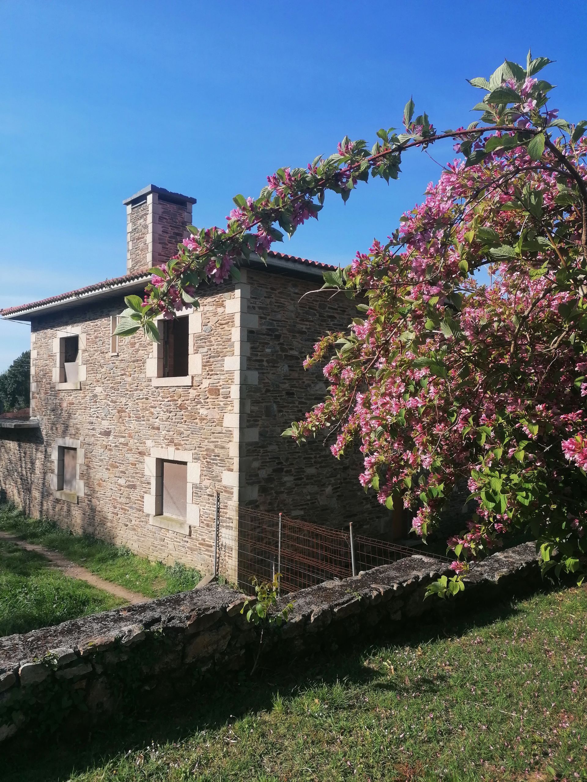 Vista exterior de Finca rústica en venta en Valdoviño con Calefacción, Jardín privado y Terraza