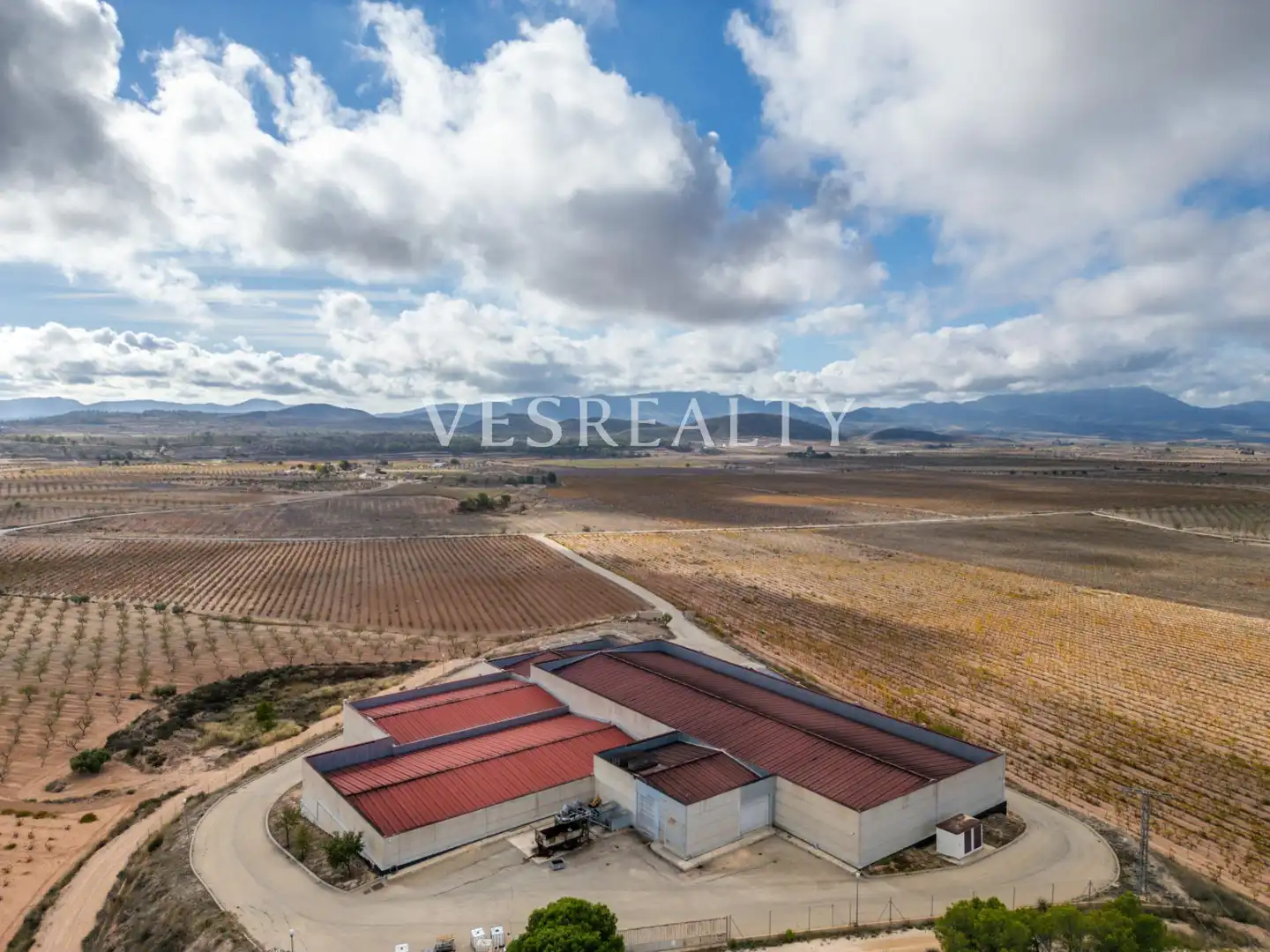 Landhaus zum Verkauf in Carretera Carretera de Jumilla, km 13, imagen 3