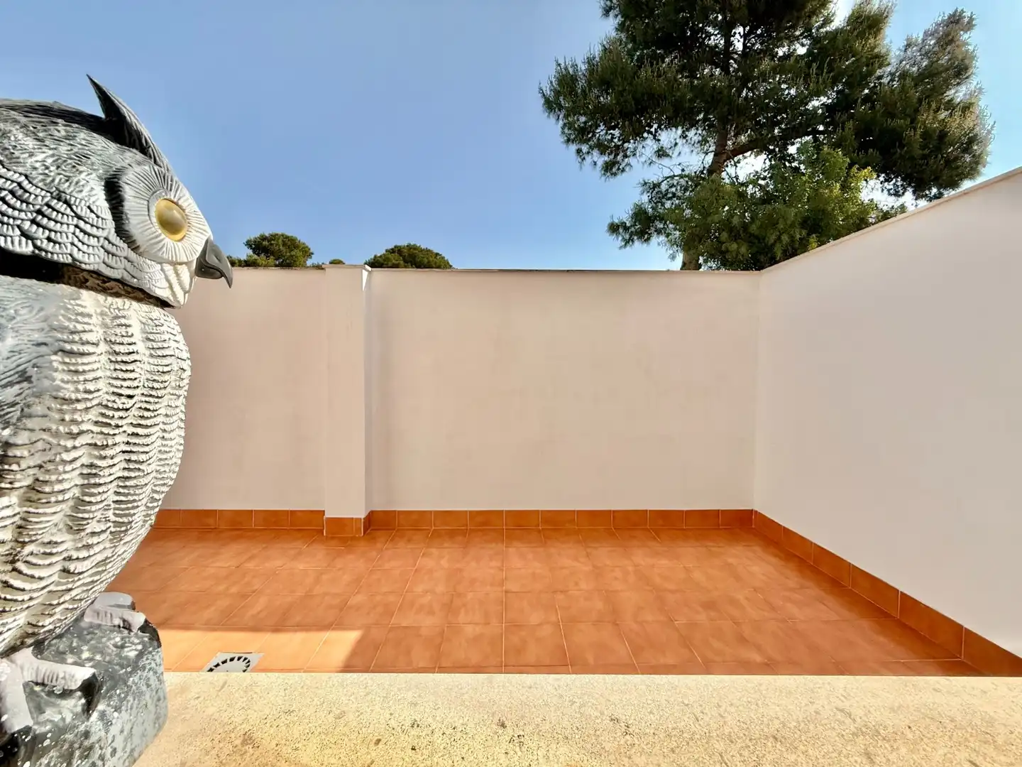 Maison à vendre à Santiago de la Ribera, imagen 43