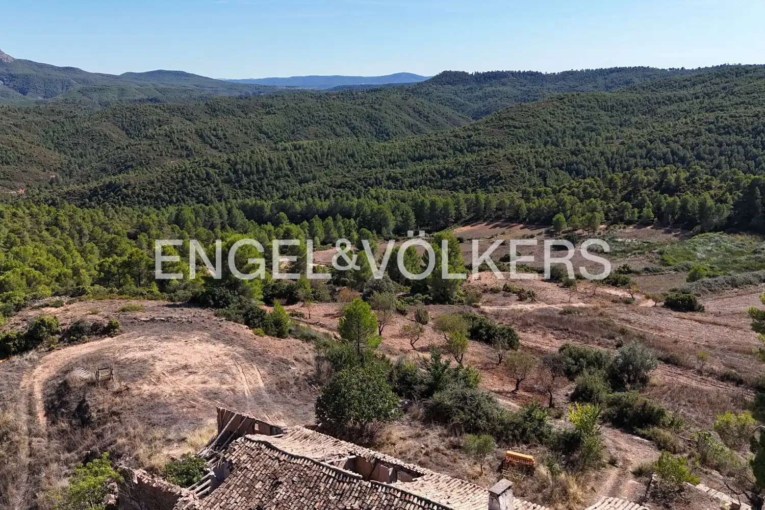 Terrain rustique à vendre à Requena, imagen 49