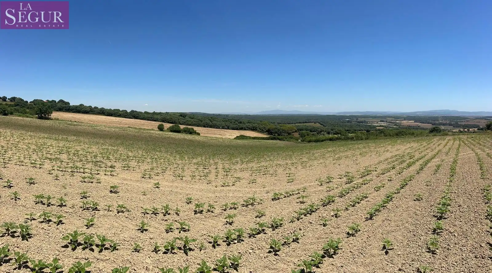 Terreni e lotti in vendita a Vejer, imagen 3