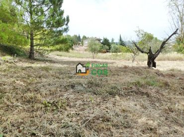 Terreny residencial en venda a Calle la Lluna