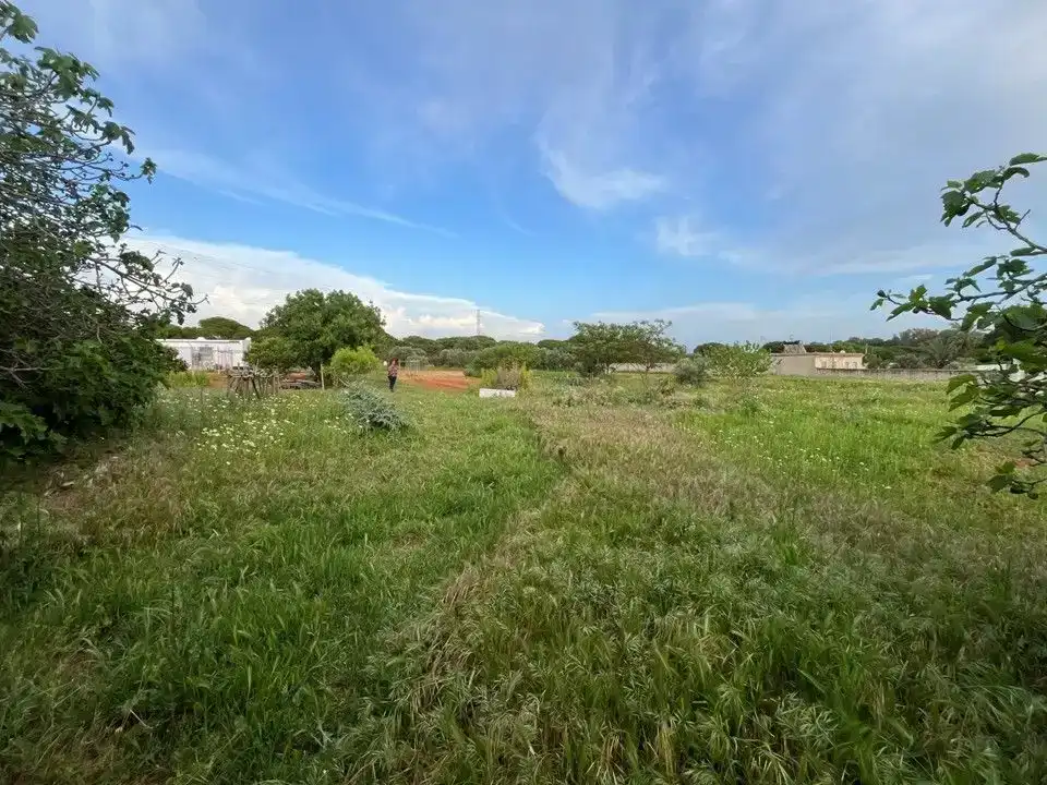 Finca rústica en venda en Puerto Real