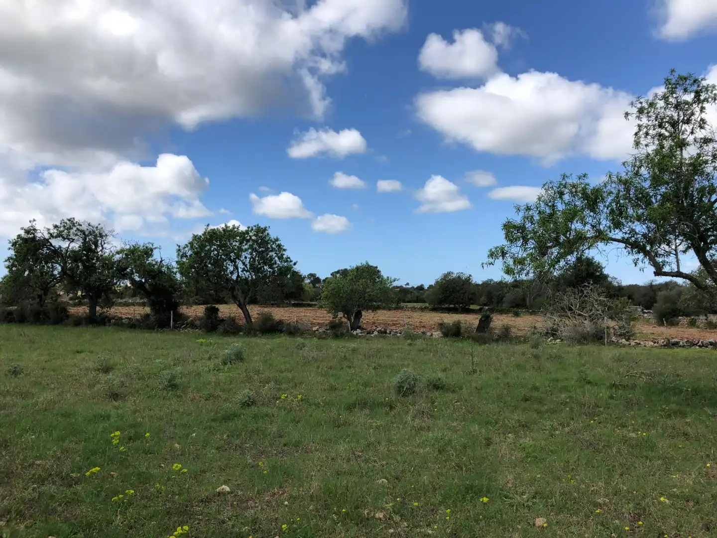 Lands and plots for sale in S'Horta - Cas Concos des Cavaller - Es Carritxó, imagen 14