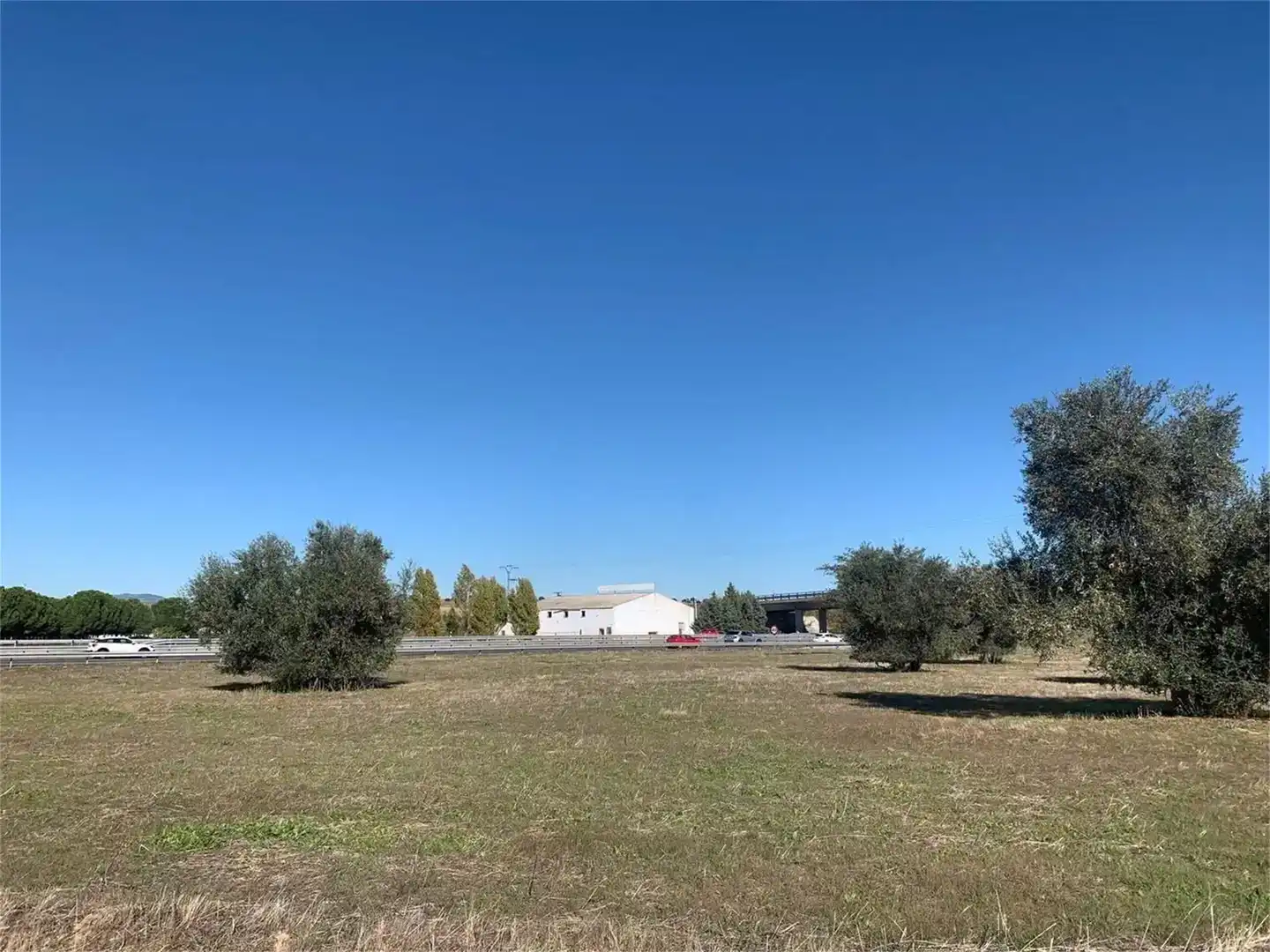 Local en venta en Otero
