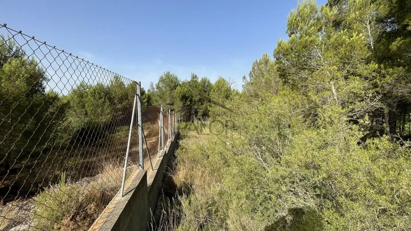 Finca rústica en venta en Carcaixent con Jardín privado, Terraza y Trastero