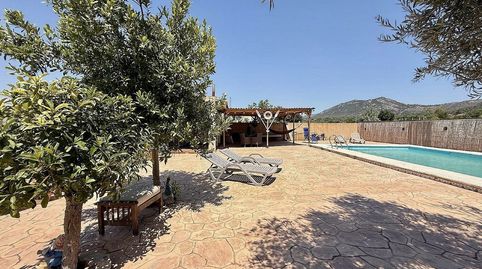 Foto 5 de Finca rústica en venda a Las Cruces, Villena