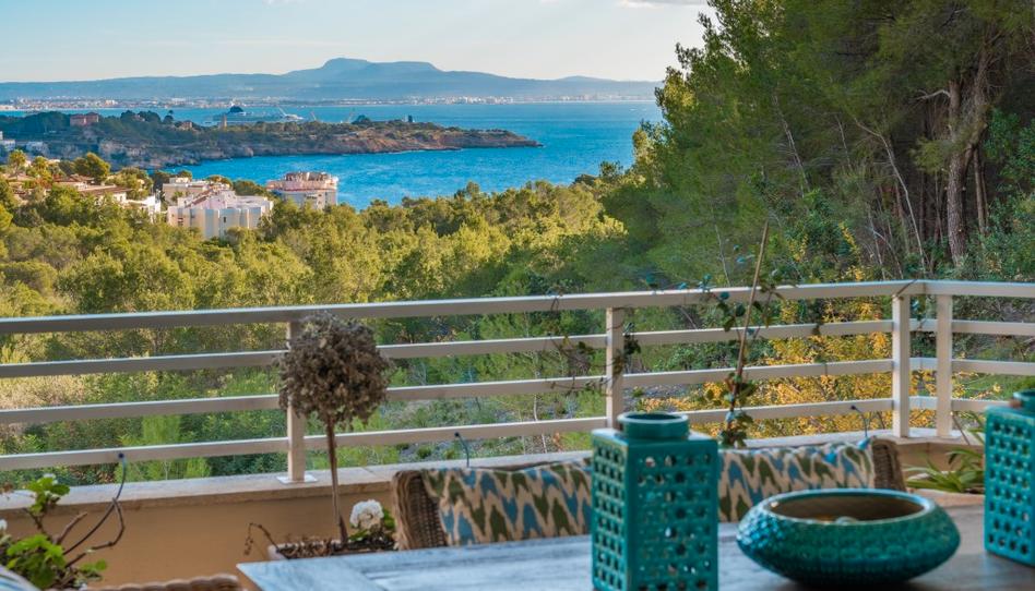 Photo 1 of Apartment for sale in Portals Nous, Illes Balears