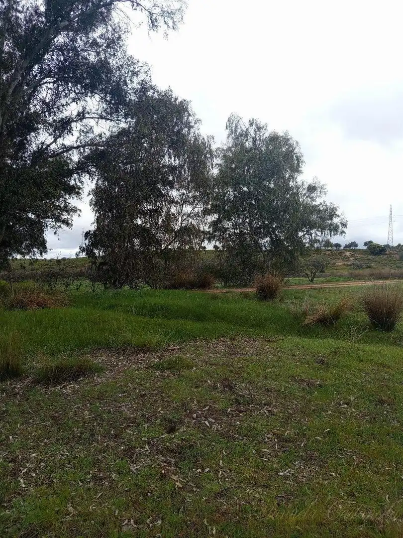 Finca rústica en venda a Oeste