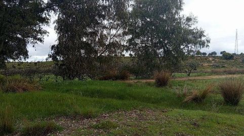 Foto 2 de Finca rústica en venta en Oeste, Mérida