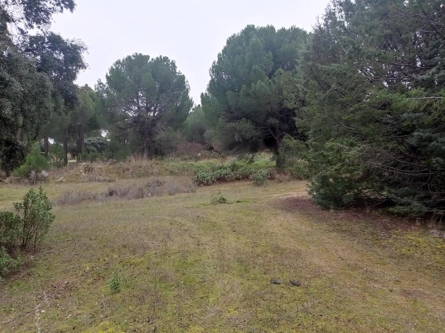 Terreny rústic en venda a San Martín de Valdeiglesias, imagen 5
