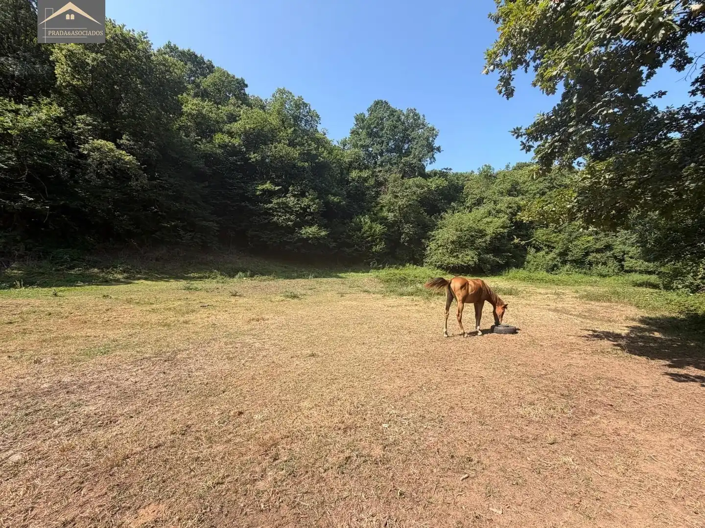 Residential land for sale in Ruente, imagen 2