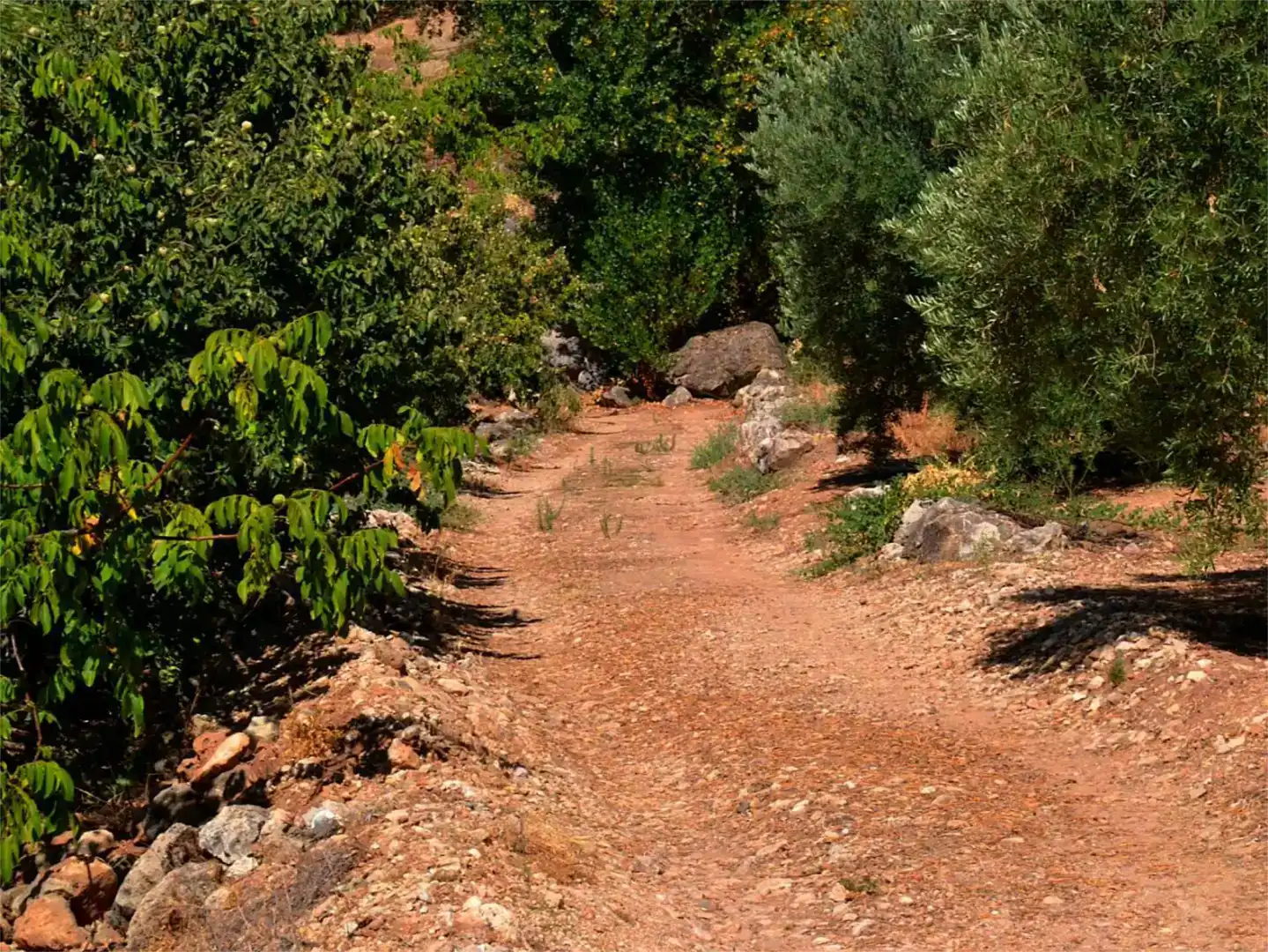 Außenansicht von Country house zum Verkauf in Valdepeñas de Jaén mit Schwimmbad