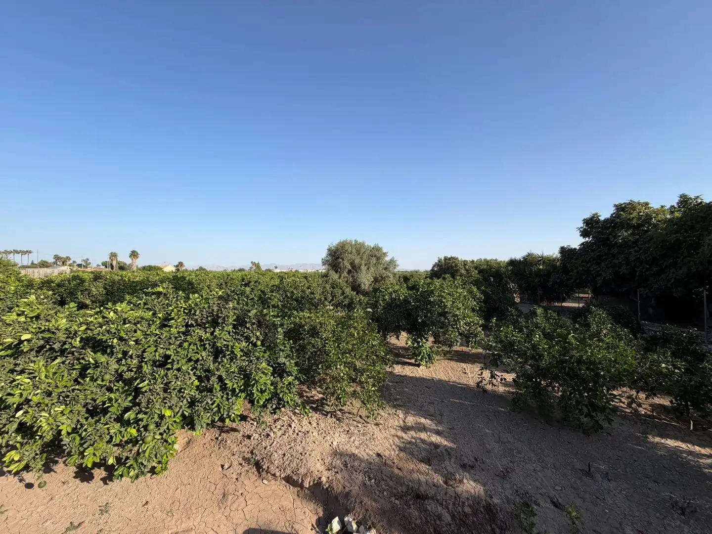 Casa en venta en Daya Vieja, imagen 18