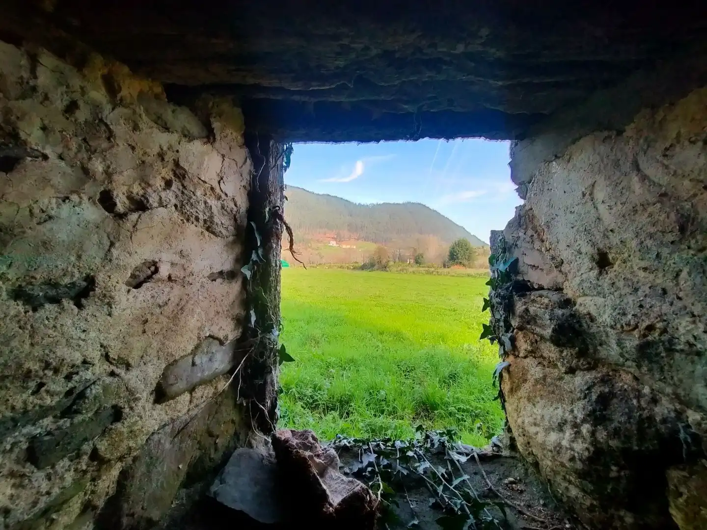 Vista exterior de Finca rústica en venda en Cudillero amb Jardí privat