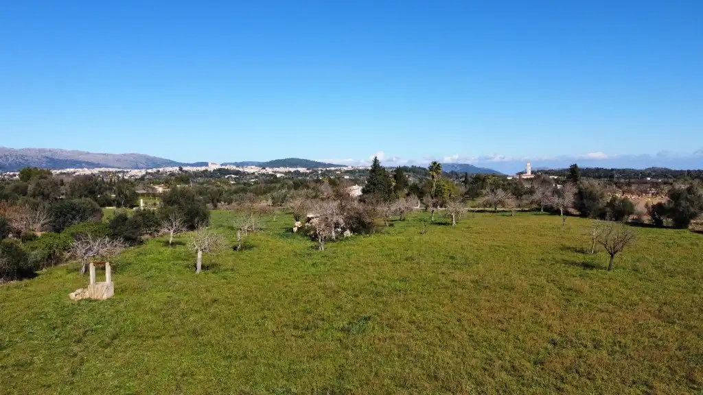 Terrain rustique à vendre à Selva, imagen 19
