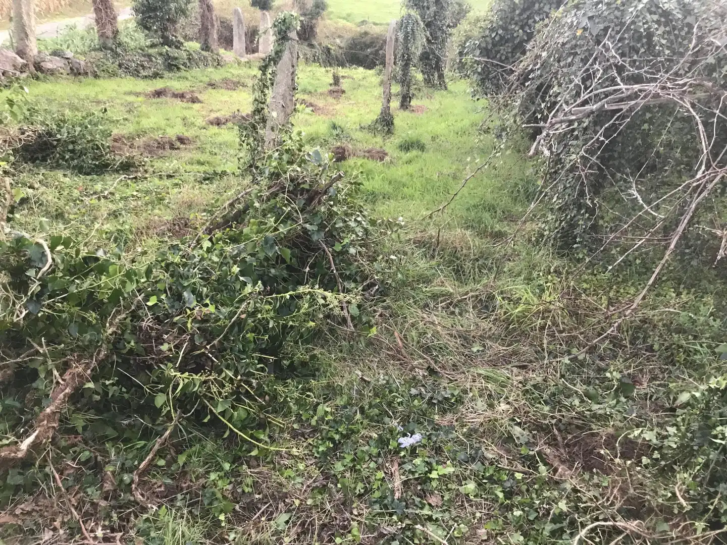 Residencial en venta en Porto do Son