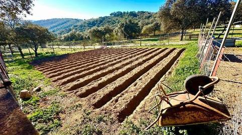 Photo 4 of Country house for sale in Obejo, Córdoba