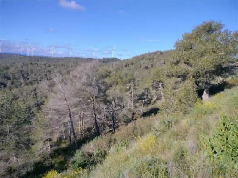 Residential for sale in Bot