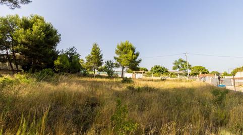 Foto 3 de Residencial en venda a Calle Rossinyol, 10, Font de la Teula - Mas de Pavia, Torrent